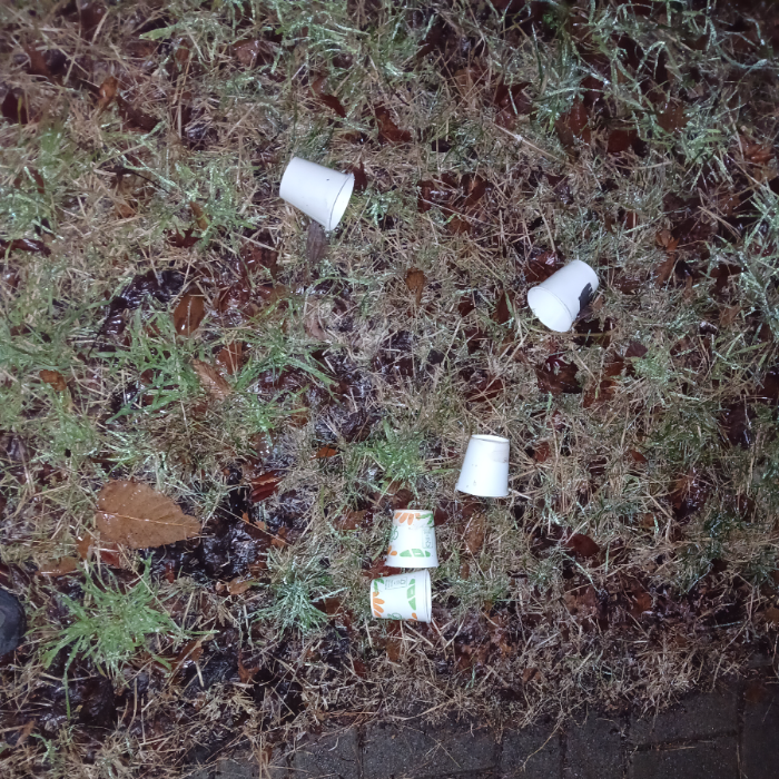  광양시.동네.쓰레기.플로깅