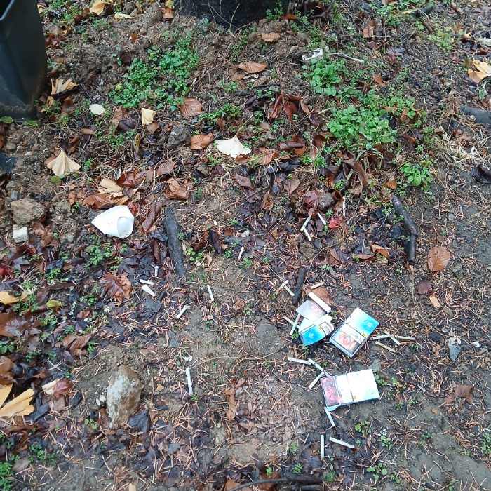  광양시.동네.쓰레기.플로깅