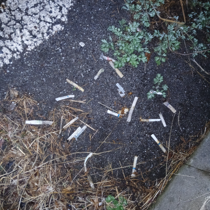  광양시.동네.쓰레기.플로깅