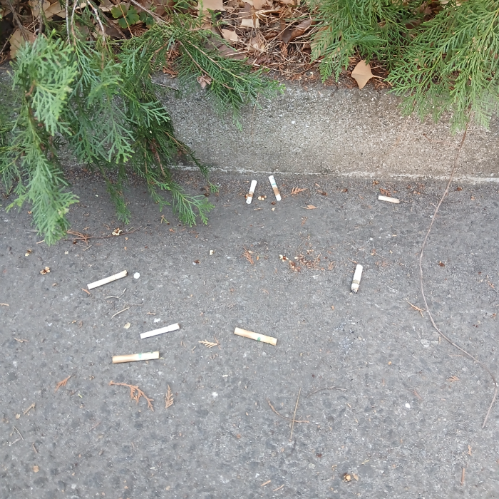  광양시.동네.쓰레기.플로깅