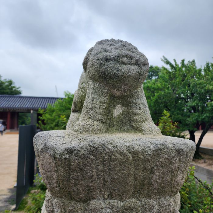  성남시.동네.쓰레기.플로깅