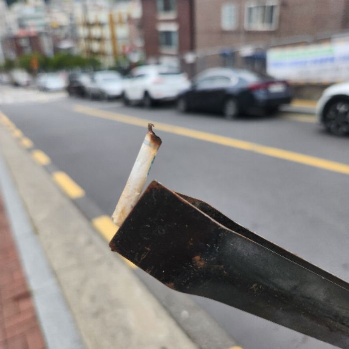  성남시.동네.쓰레기.플로깅