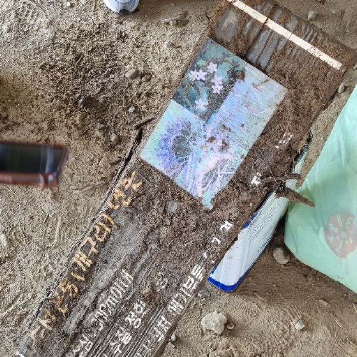  성남시.동네.쓰레기.플로깅