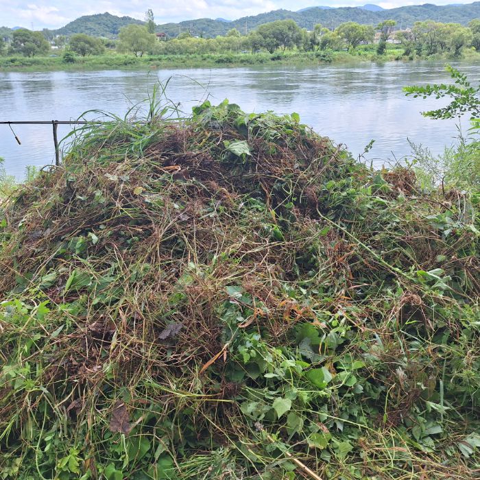  춘천시.동네.쓰레기.플로깅