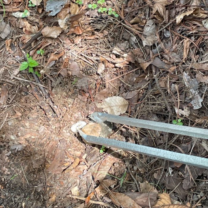 성남시.동네.쓰레기.플로깅