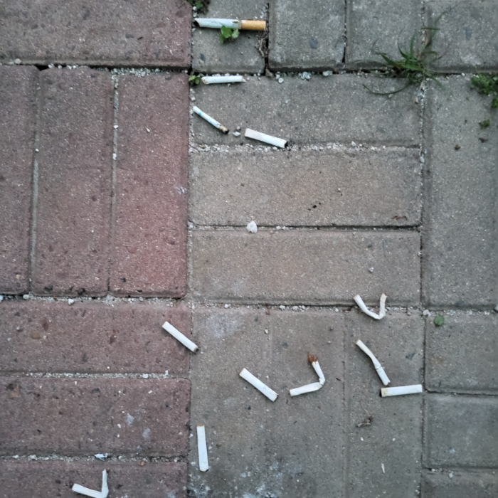  광양시.동네.쓰레기.플로깅