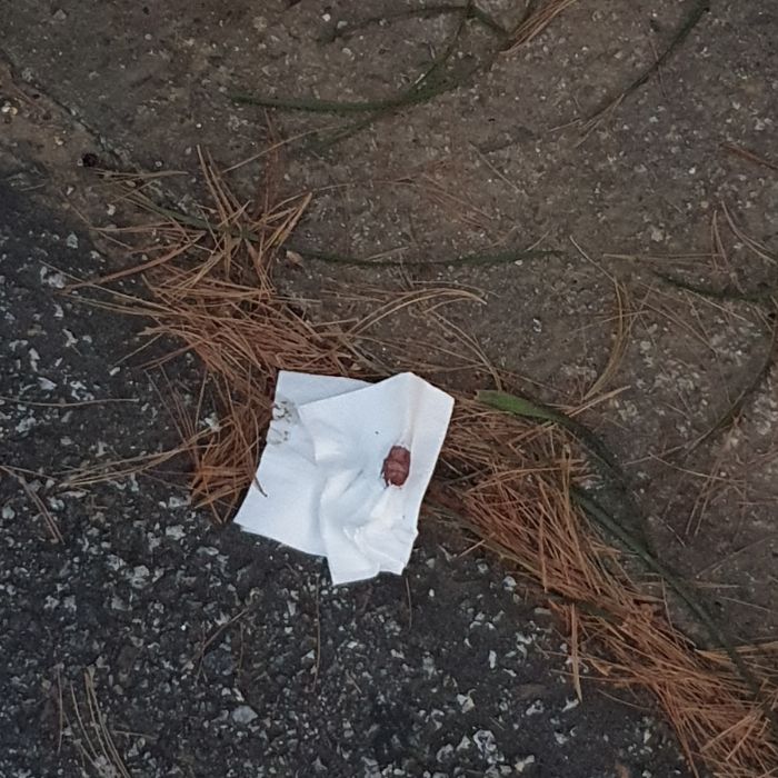  성남시.동네.쓰레기.플로깅