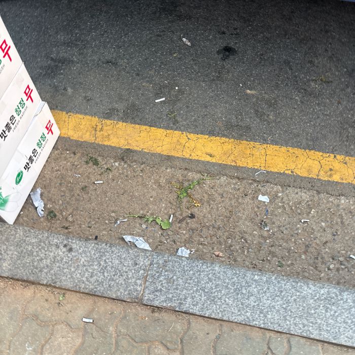  성남시.동네.쓰레기.플로깅