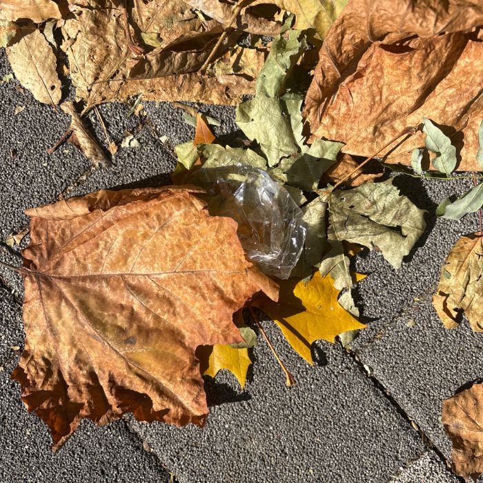  성남시.동네.쓰레기.플로깅