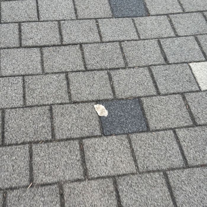  서울강남구.동네.쓰레기.플로깅