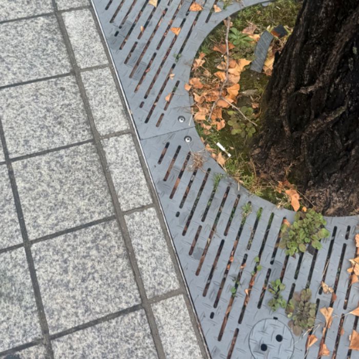  서울강남구.동네.쓰레기.플로깅