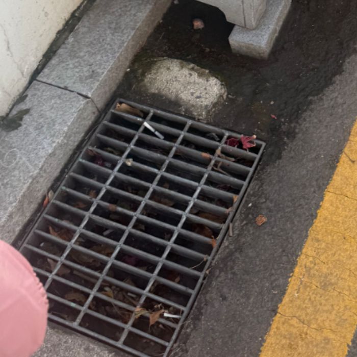  서울강남구.동네.쓰레기.플로깅