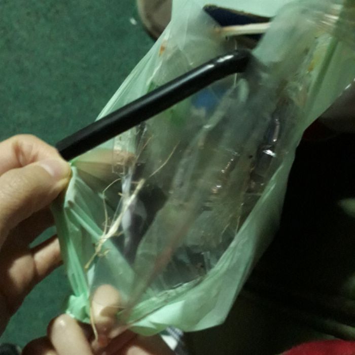  용인시.동네.쓰레기.플로깅