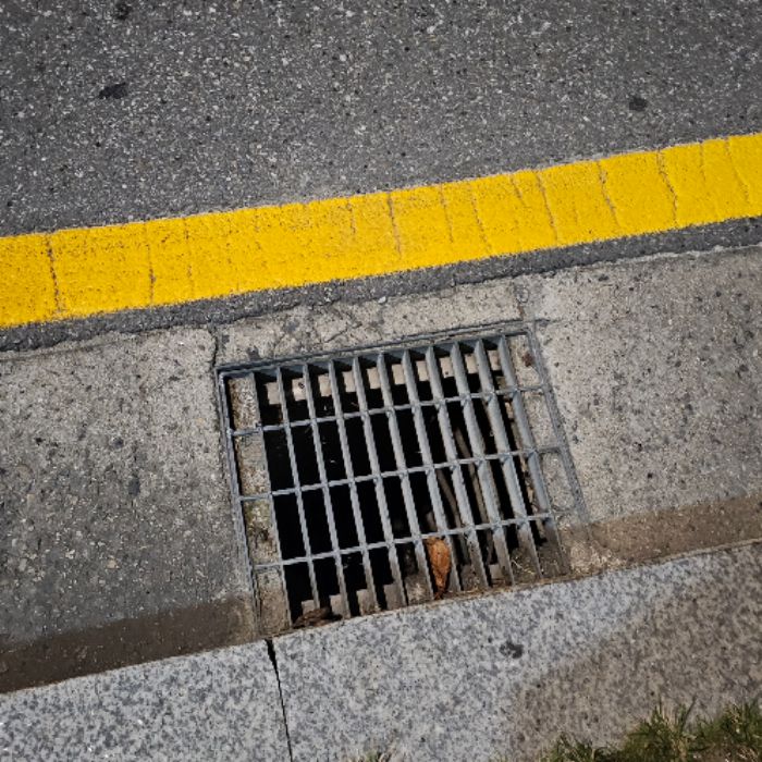  남양주시.동네.쓰레기.플로깅