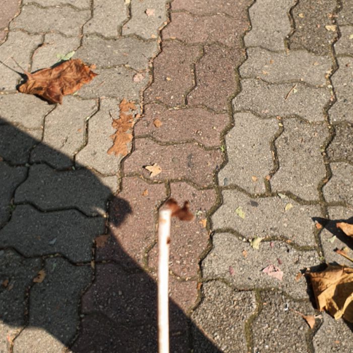  성남시.동네.쓰레기.플로깅