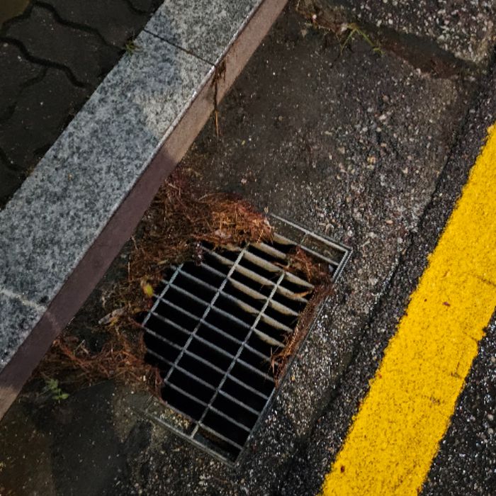  남양주시.동네.쓰레기.플로깅