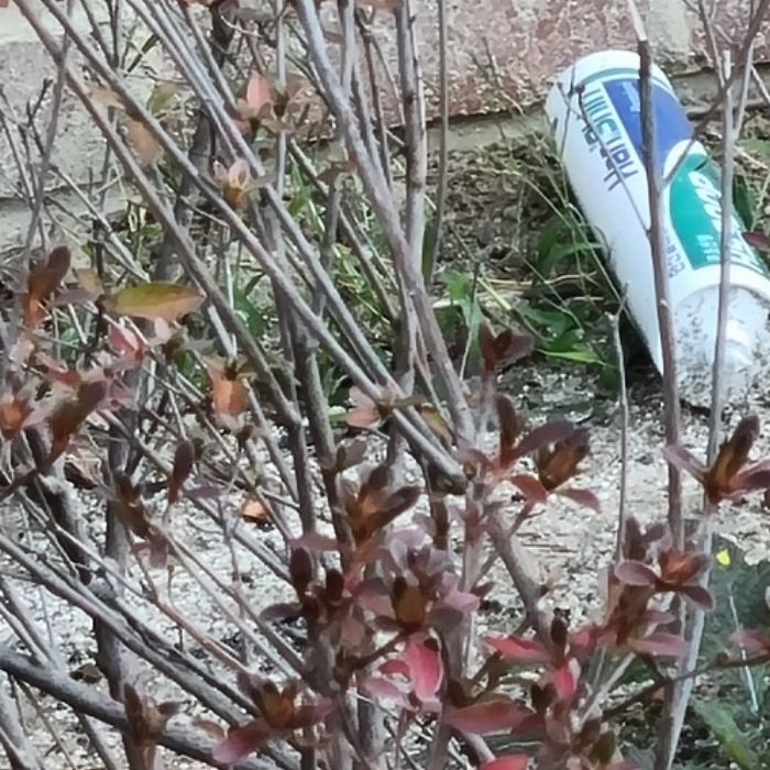  성남시.동네.쓰레기.플로깅