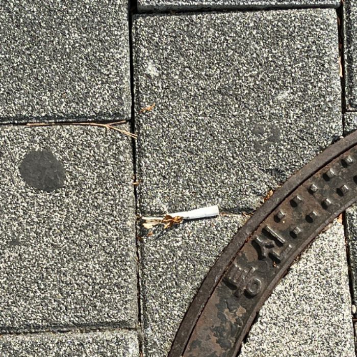  서울동대문구.동네.쓰레기.플로깅