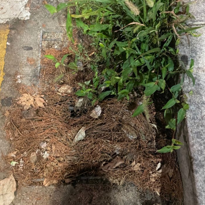  남양주시.동네.쓰레기.플로깅