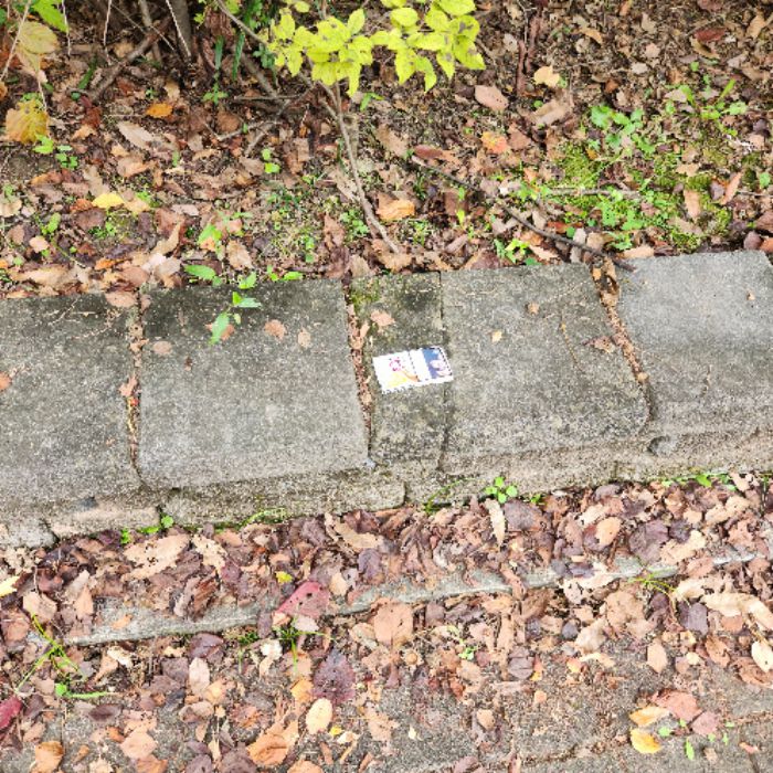 성남시.동네.쓰레기.플로깅