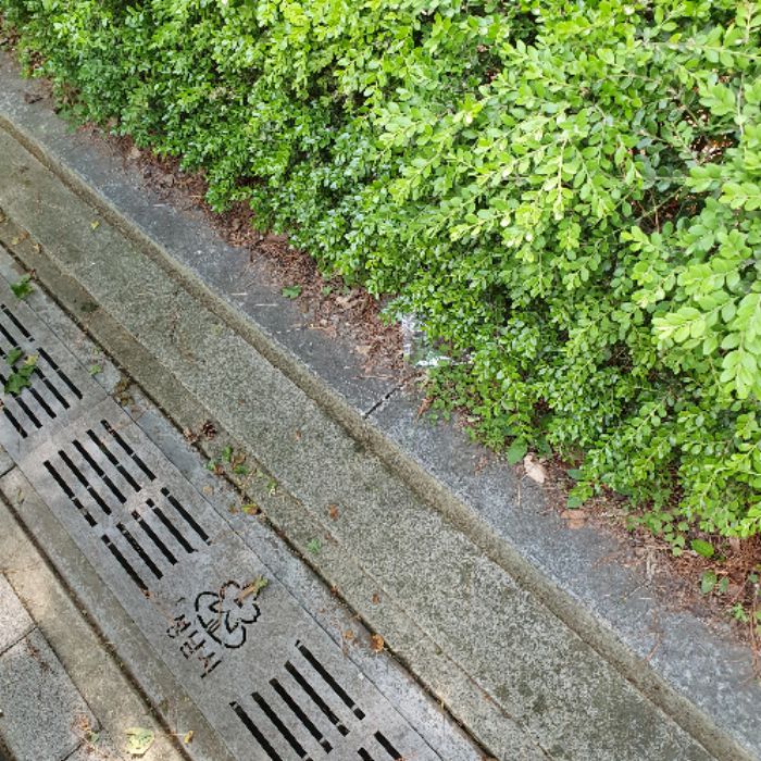  성남시.동네.쓰레기.플로깅