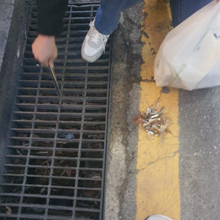 서울종로구.빗물받이.담배꽁초.직접청소