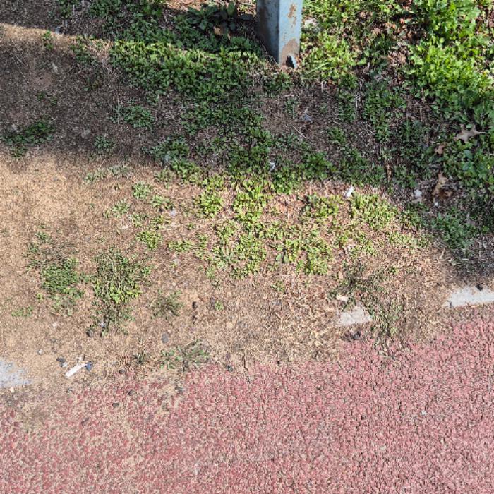 고양시.빗물받이.담배꽁초.직접청소