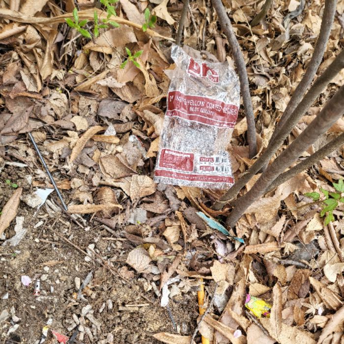 pics