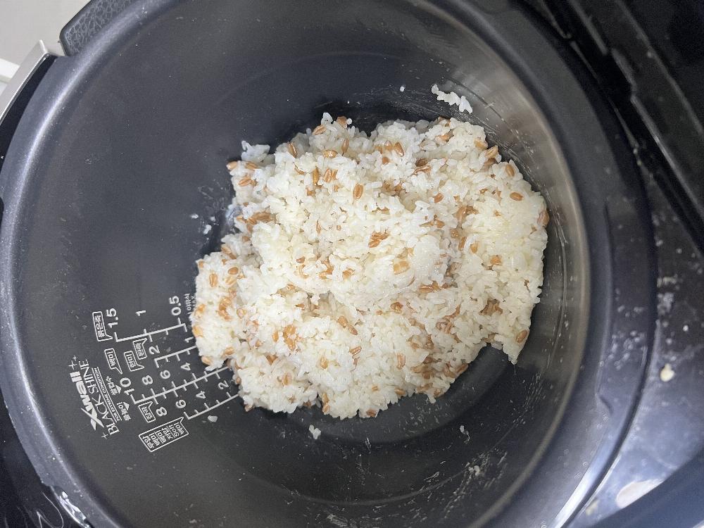 경북.자취방.식사준비.잡곡밥